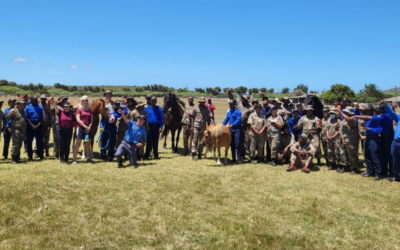 A Gallop Towards Success: Vice-Dean and Professor offer training at Equestrian Military Academy