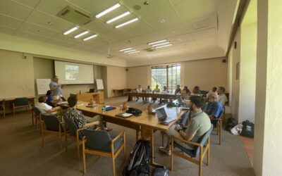 Exploring Multilingualism and Mental Health Care for Migrants: Insights from an International Collaboration in Stellenbosch #MIM2M