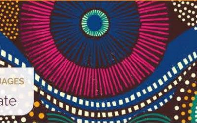 Overview of types of African Languages postgraduate Honours, Master’s and PhD study fields and their value to professional development and careers.